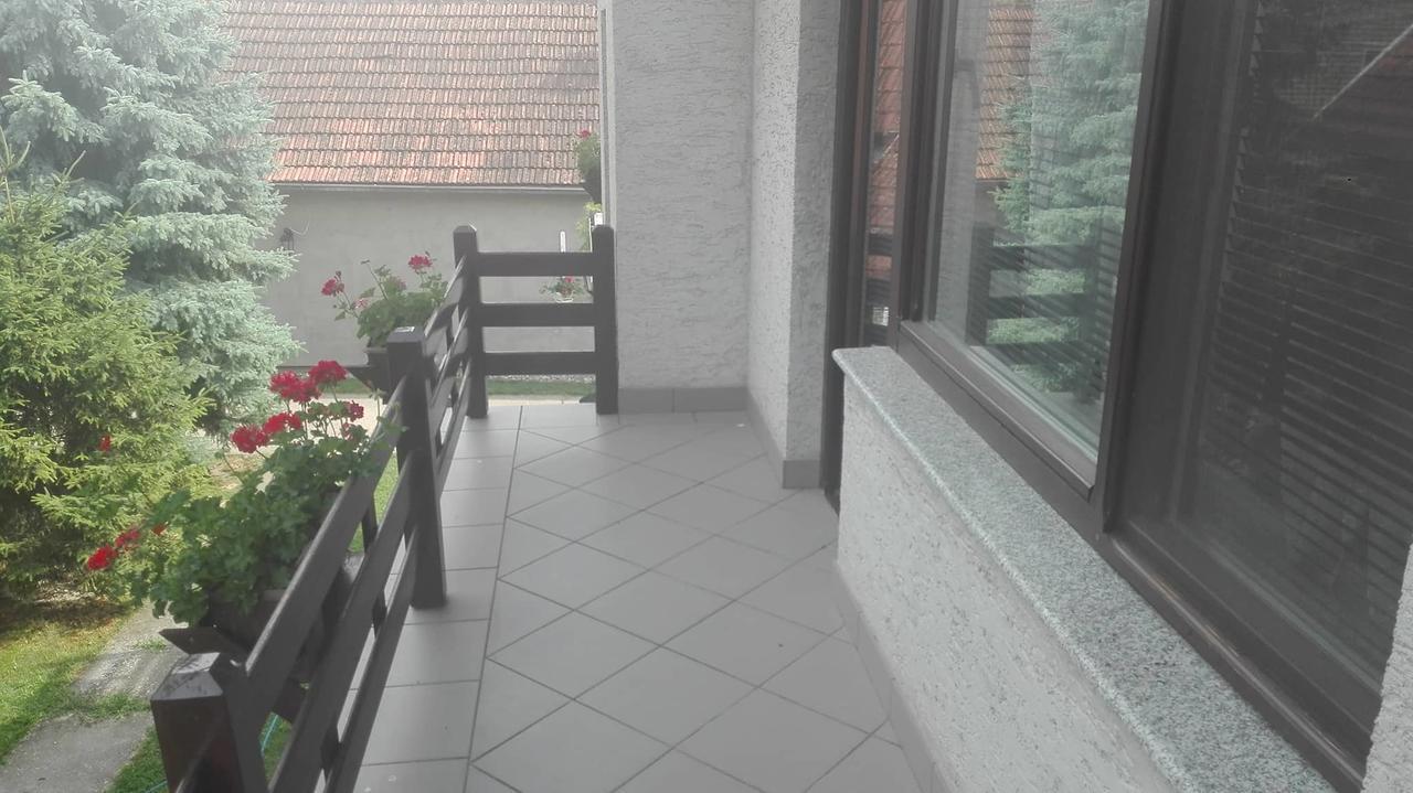 Domacinstvo Opavski Backi Petrovac Esterno foto